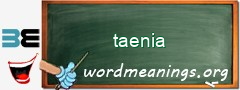 WordMeaning blackboard for taenia